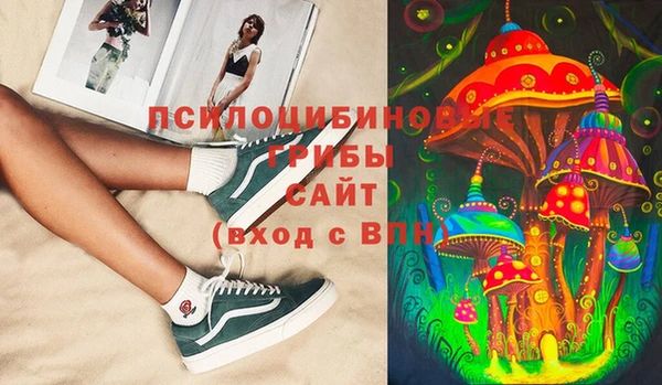 спиды Гусев