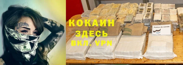 apvp Осташков